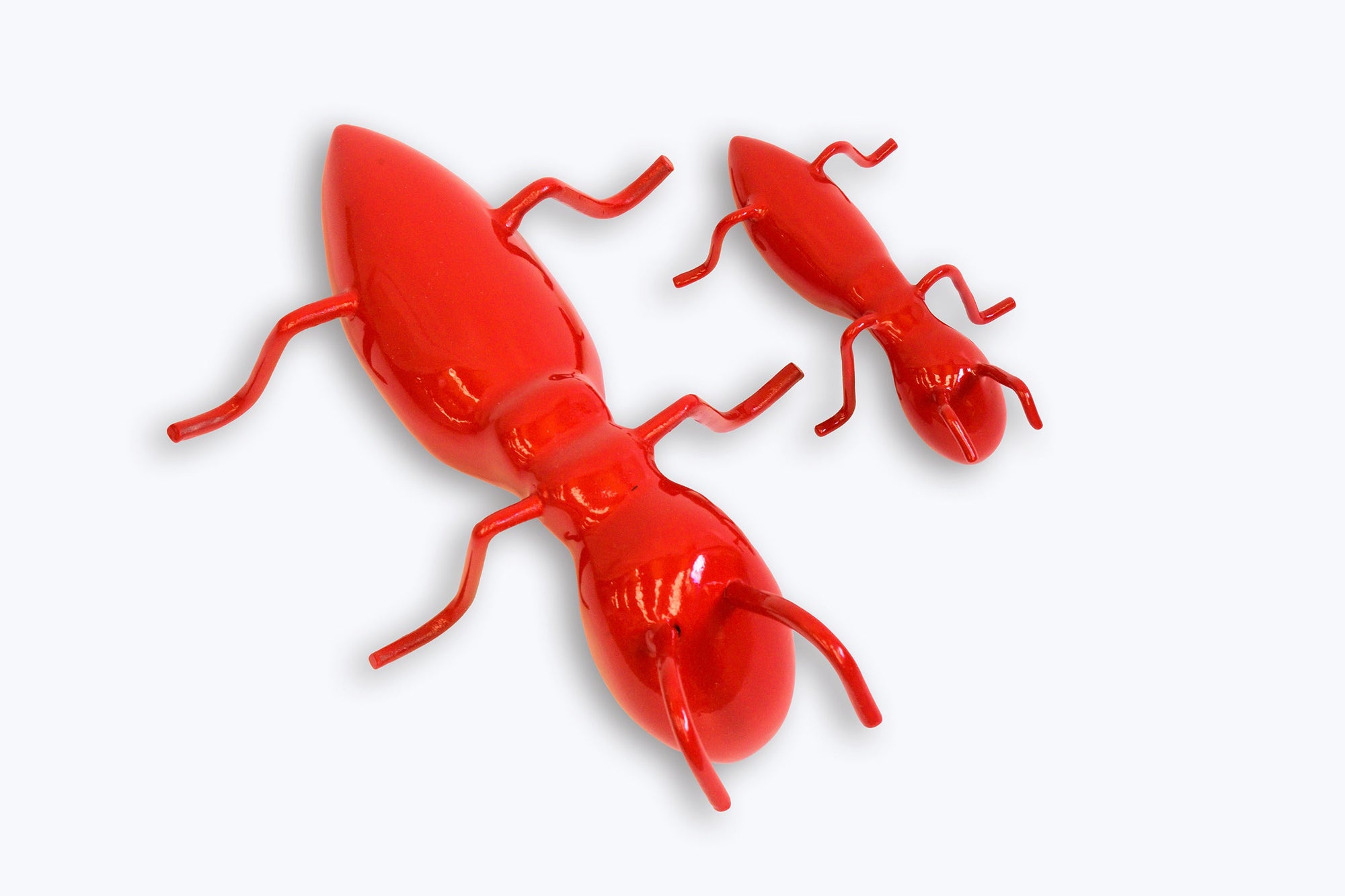 Hormigas Rojas